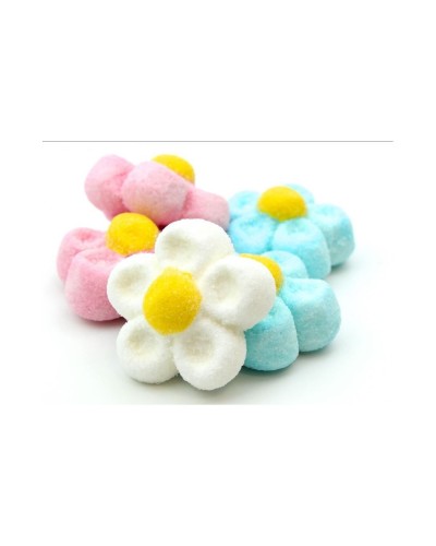 NUBES DE MARGARTIAS SURTIDAS 500GR