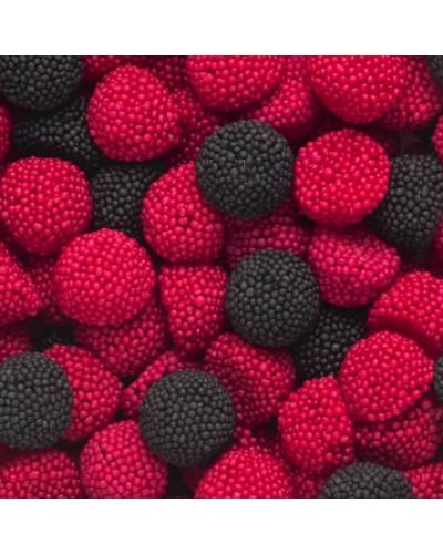 VIDAL MINI MORITAS KG