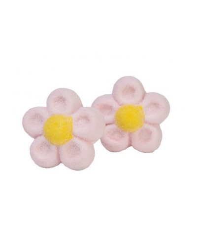 NUBES MARGARITA ROSA